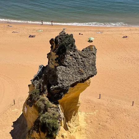 아파트 Near The Ocean 알부페이라